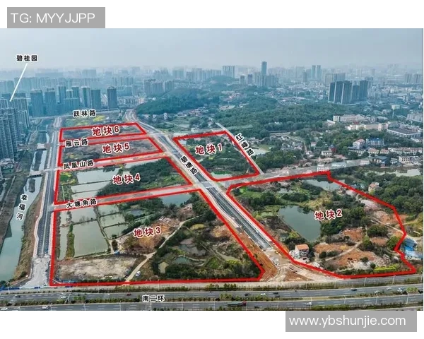 南京极限运动队全方位压制表现分析与未来发展方向探讨